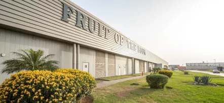 Fruit of the Loom - Ikona Odzieży Reklamowej z Ponad 170-Letnią Tradycją