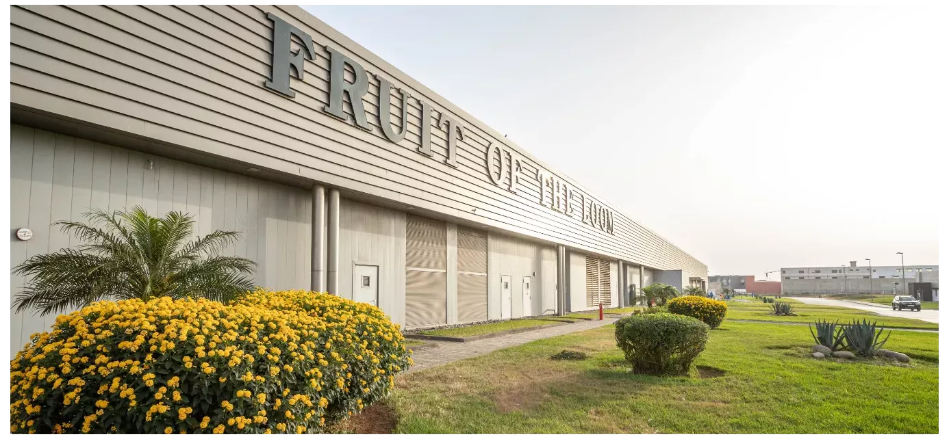 Fruit of the Loom - Ikona Odzieży Reklamowej z Ponad 170-Letnią Tradycją